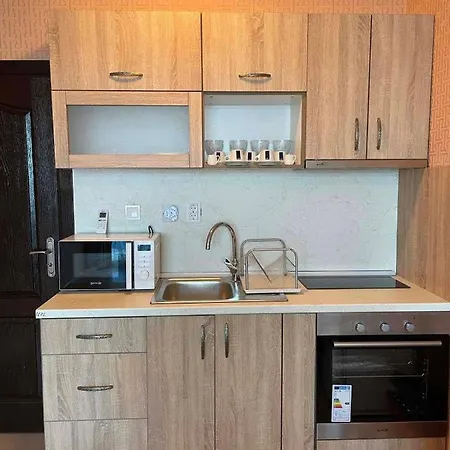 Apartament Gallery L *