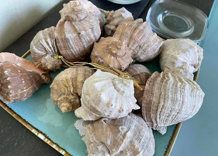 Gallery L * סאני ביץ'